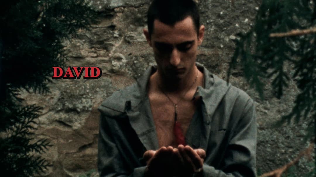 Dressed to's Song of Songs backdrop 16