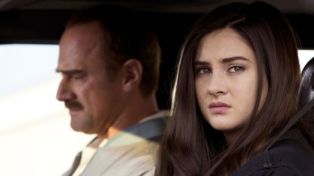 Білий птах у хуртовині backdrop 7