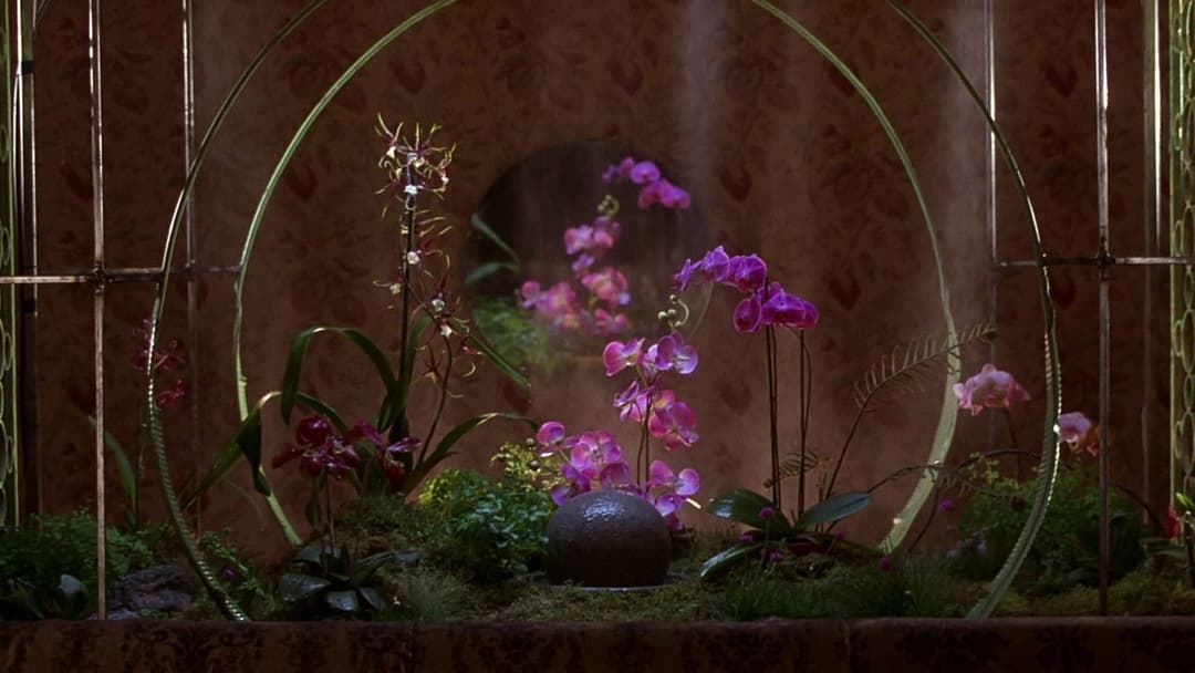 Секретарка backdrop 16