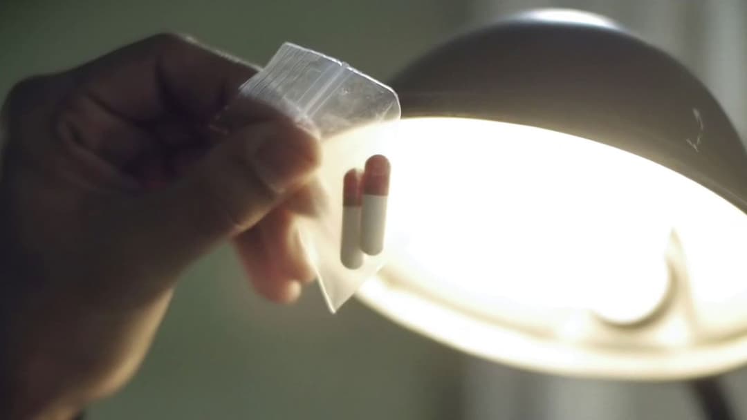 Upstream Color backdrop 13