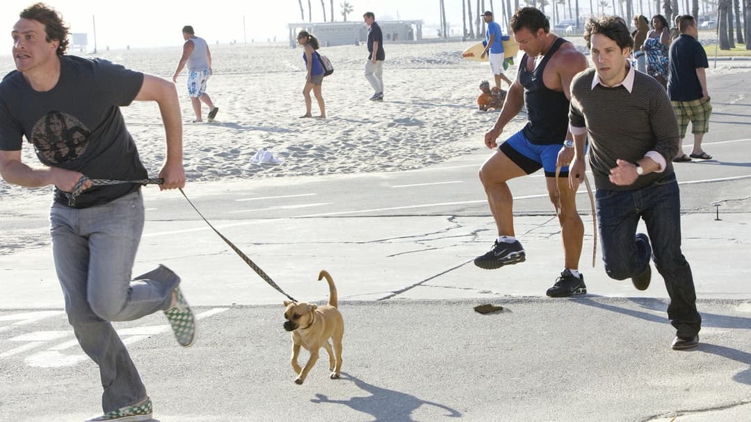 Trauzeuge gesucht! backdrop 14