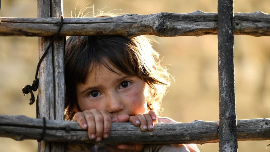 Honeyland backdrop 6