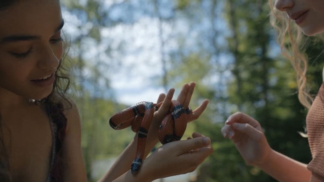 Голодні ігри: Балада про співочих пташок і змій backdrop 9