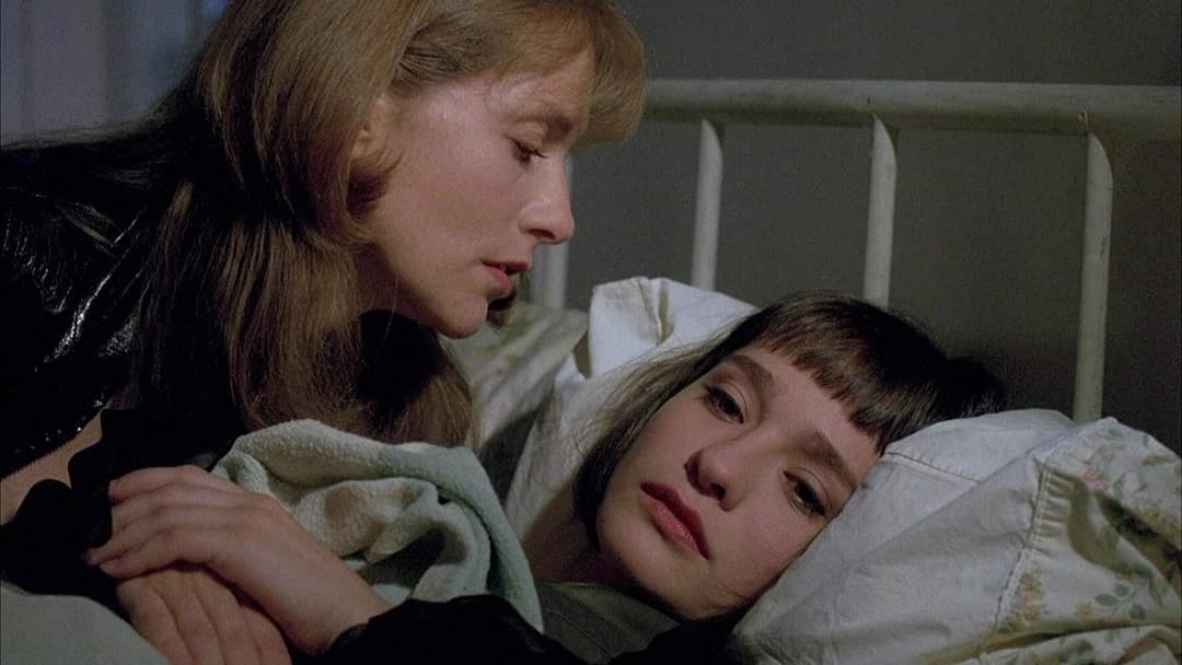 Аматор backdrop 11