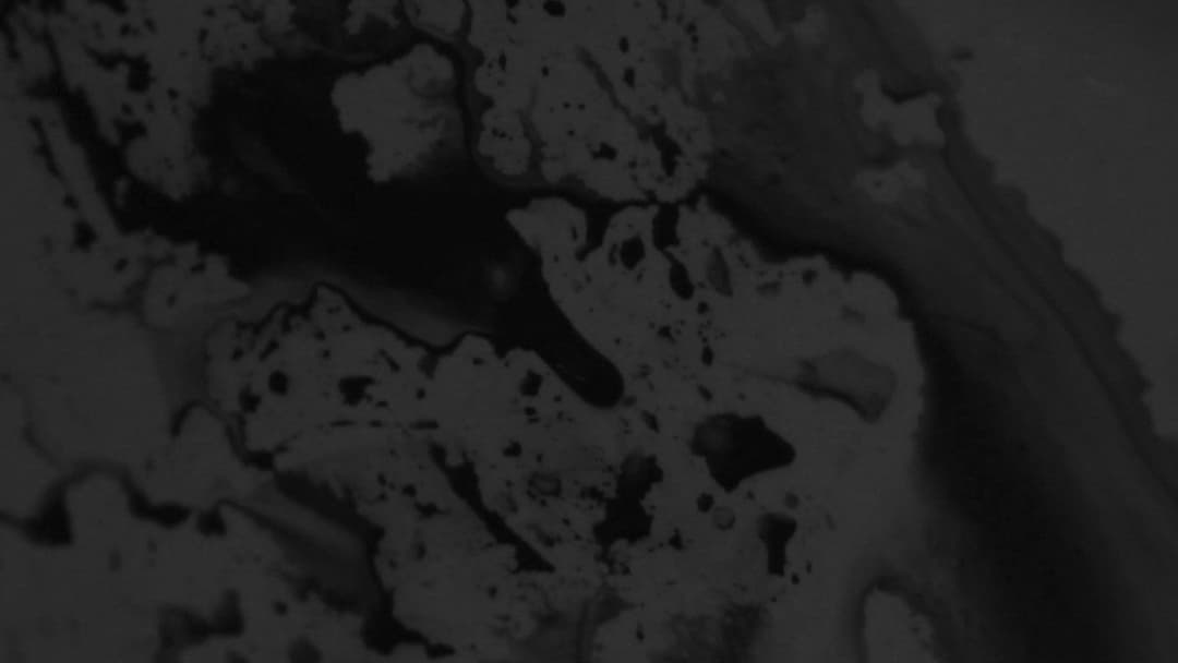 Je peux pas supporter l'éteinte da le douceur dans ce monde