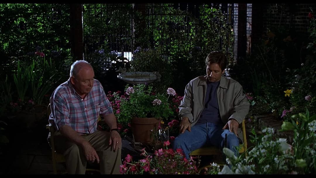 Повертайся до мене backdrop 6