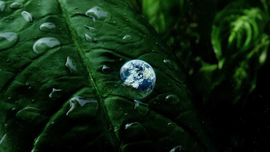 Krieg der Welten backdrop 18