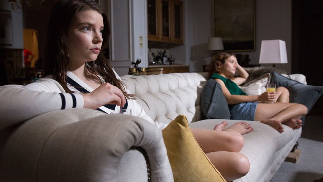 Thoroughbreds backdrop 18