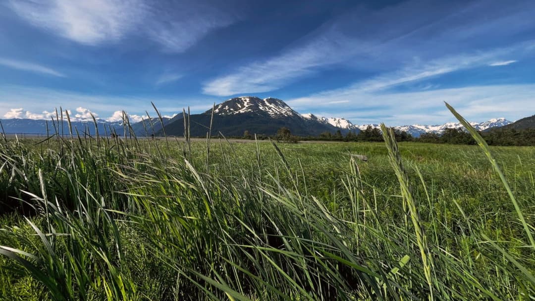Mankind's Folly backdrop 1