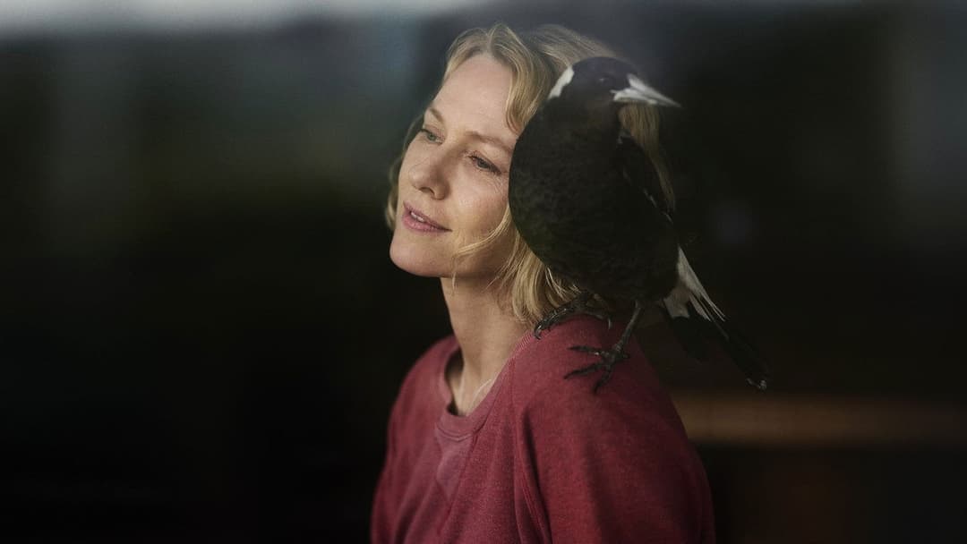 Пінгвін Блюм backdrop 5