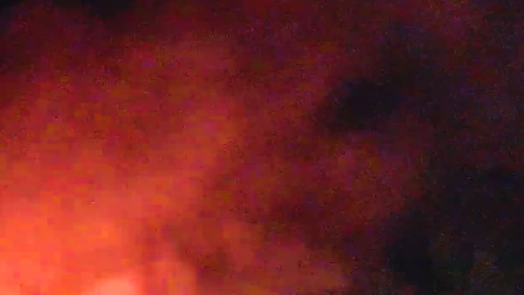 Cats and Cameras backdrop 2