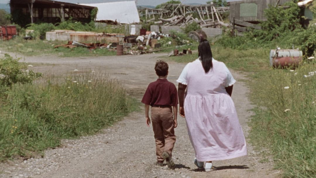 Palindrome backdrop 2