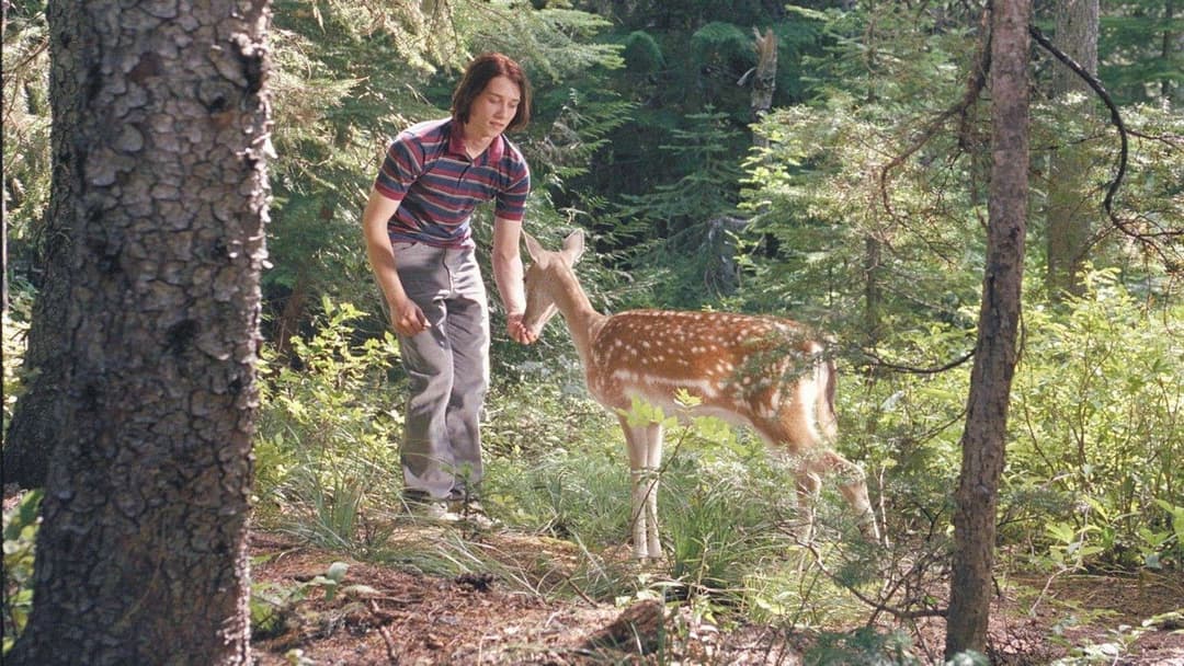 Погана звичка backdrop 3