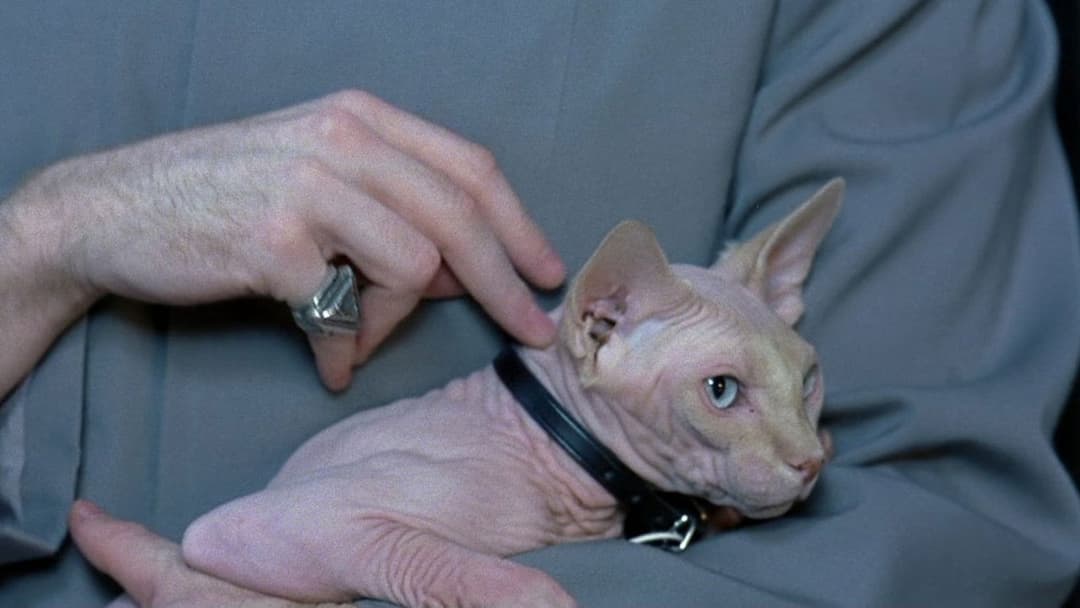 Austin Powers: International Man of Mystery backdrop 19