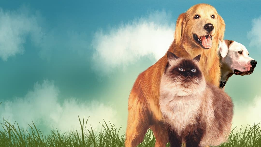 Дорога додому: Неймовірна подорож backdrop 6