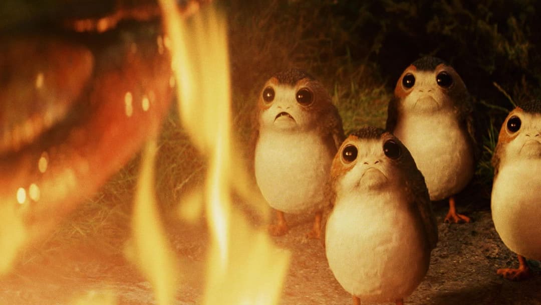 Star Wars: The Last Jedi backdrop 12