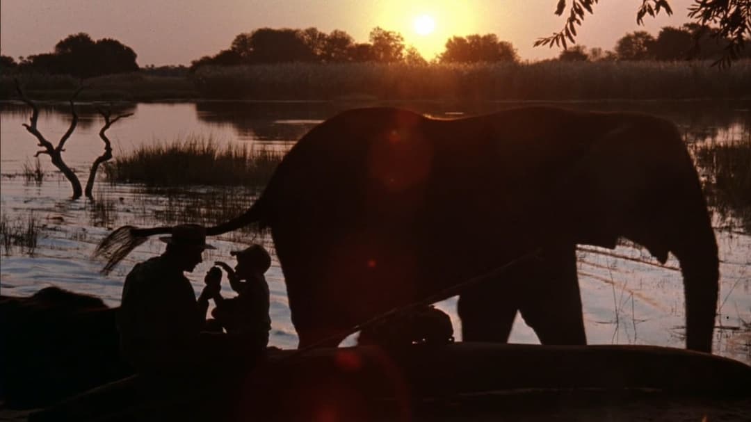 Im Glanz der Sonne backdrop 14