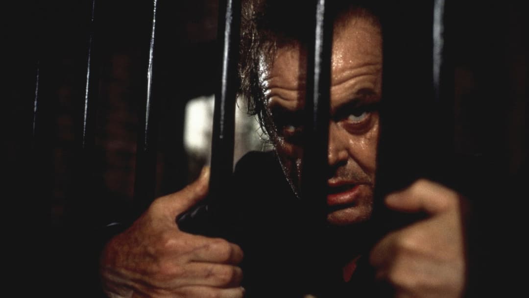 Вовк backdrop 16