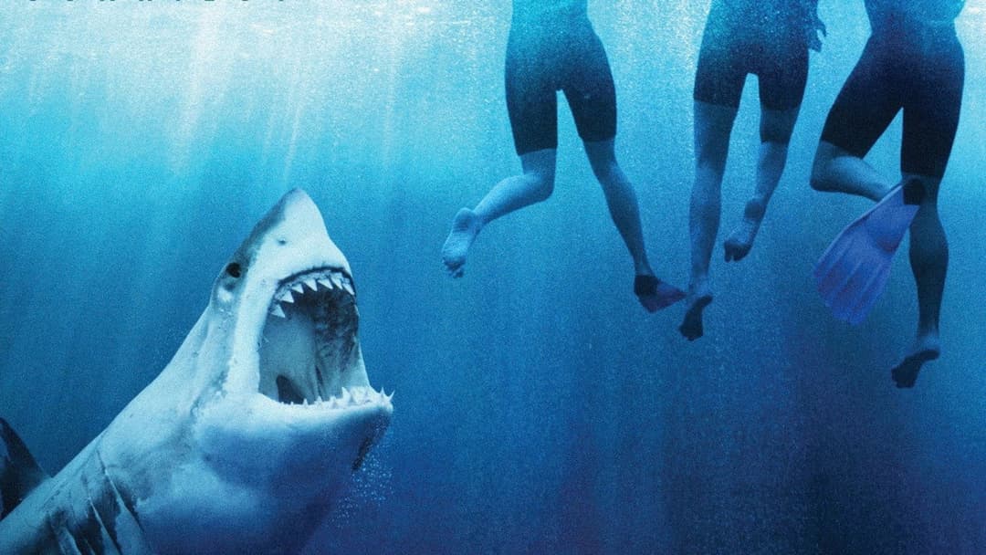 The Reef - Schwimm um dein Leben backdrop 1