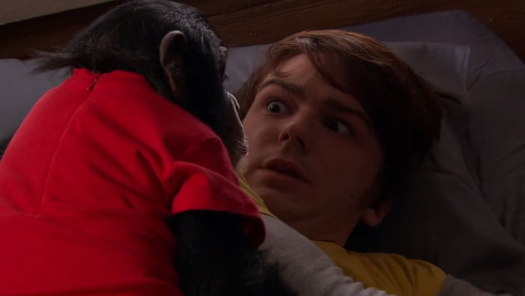 Merry Christmas, Drake & Josh backdrop 10