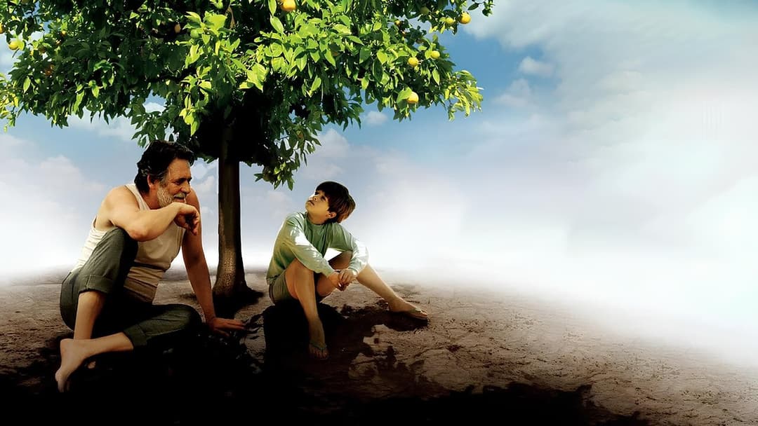 Meu Pé de Laranja Lima