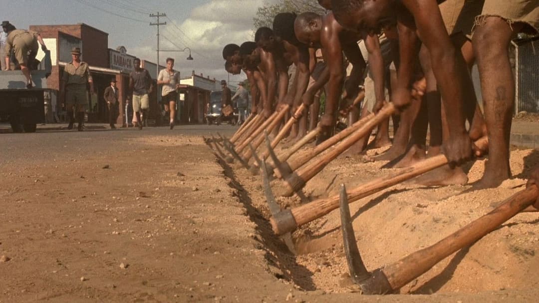 Im Glanz der Sonne backdrop 1