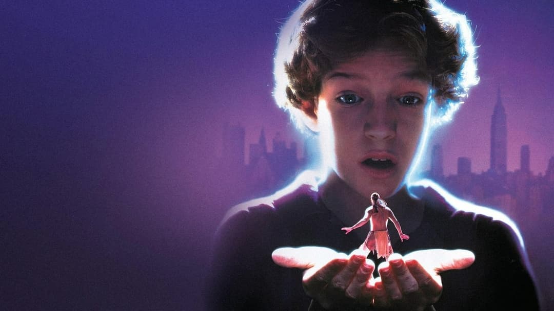 Der Indianer im Küchenschrank