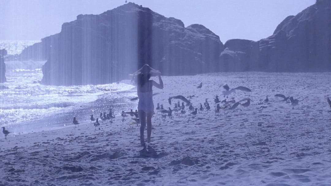 The Limey backdrop 20