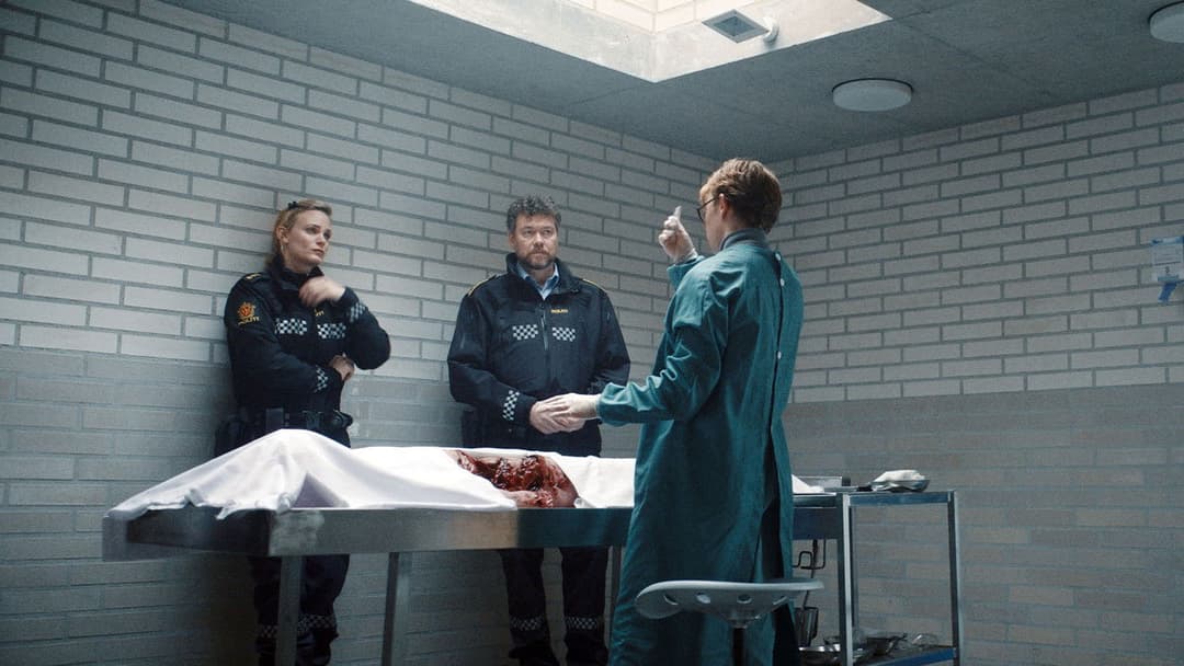 Viking Wolf backdrop 15