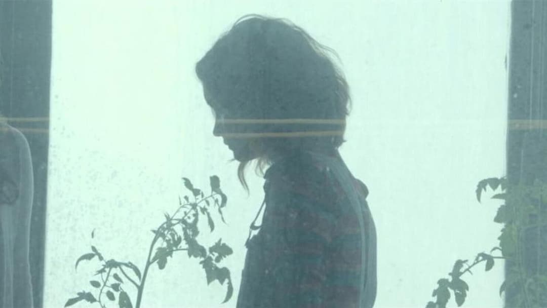 Me and Earl and the Dying Girl backdrop 3