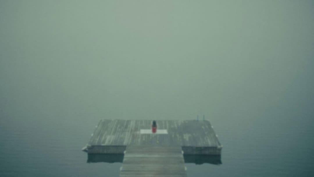 Black Bear backdrop 12