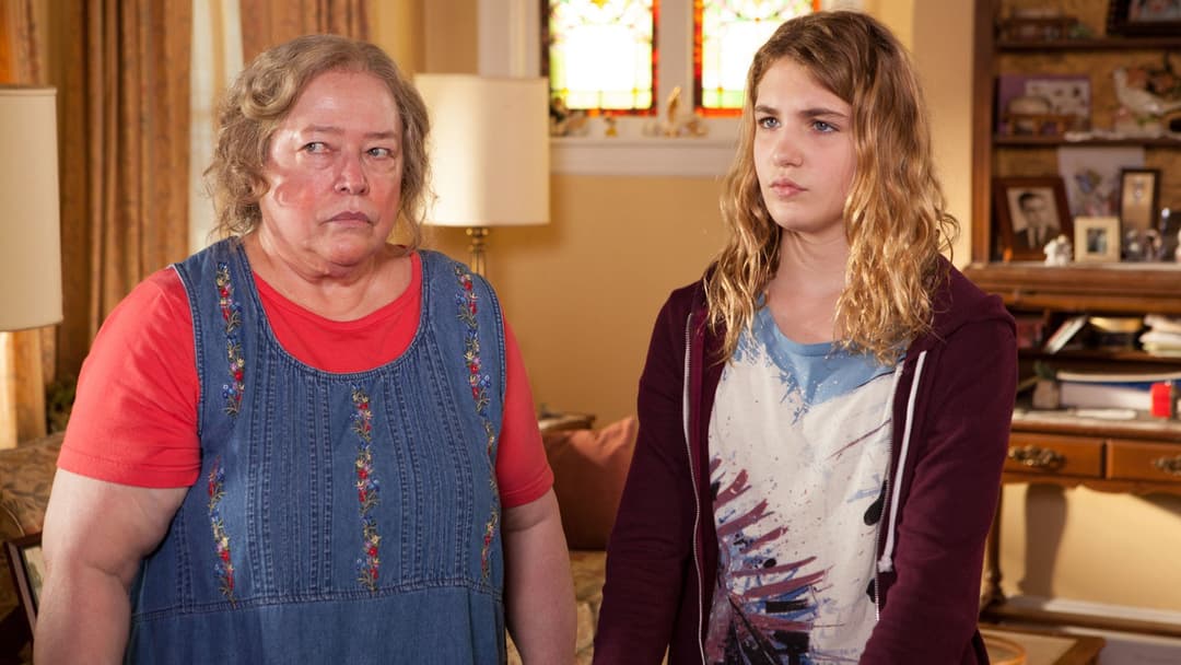 The Great Gilly Hopkins backdrop 4