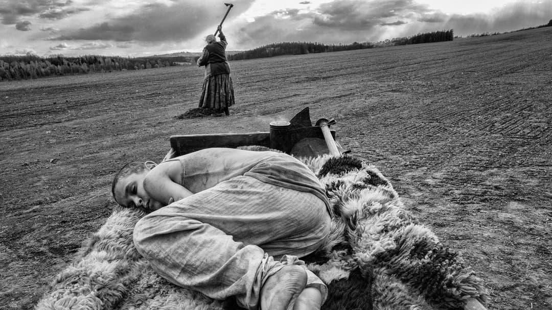 The Painted Bird backdrop 4