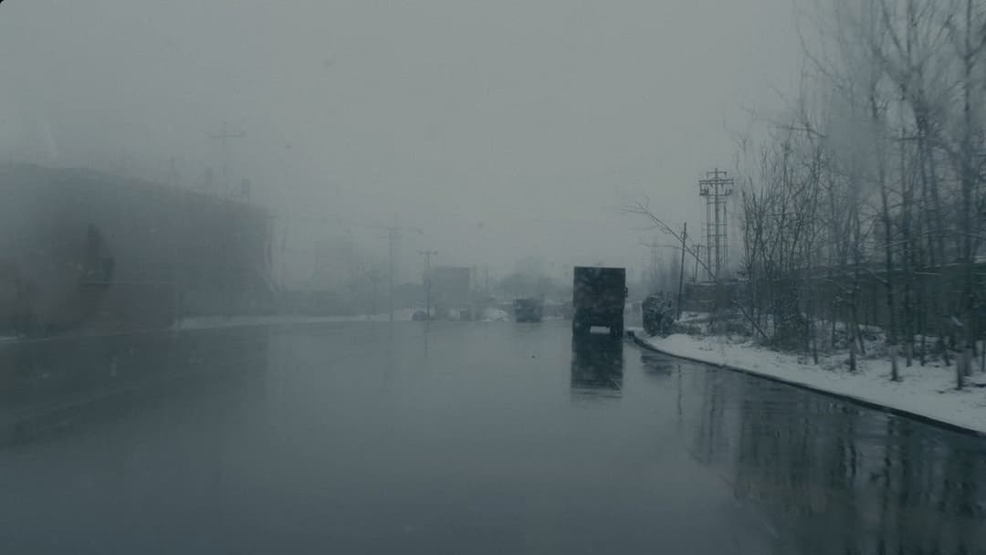 An Elephant Sitting Still backdrop 9