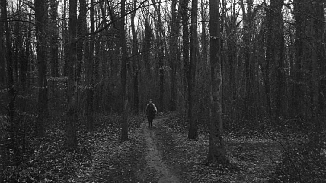 Satantango backdrop 11