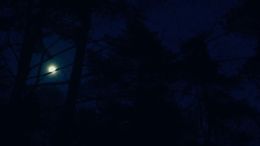 Зла не існує backdrop 15