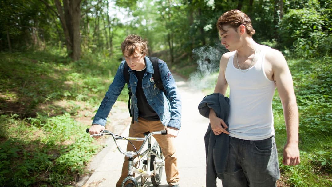 Місце під соснами backdrop 15