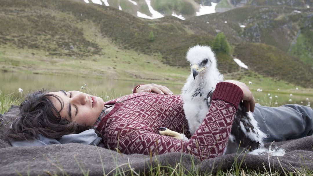 Брати вітру backdrop 7