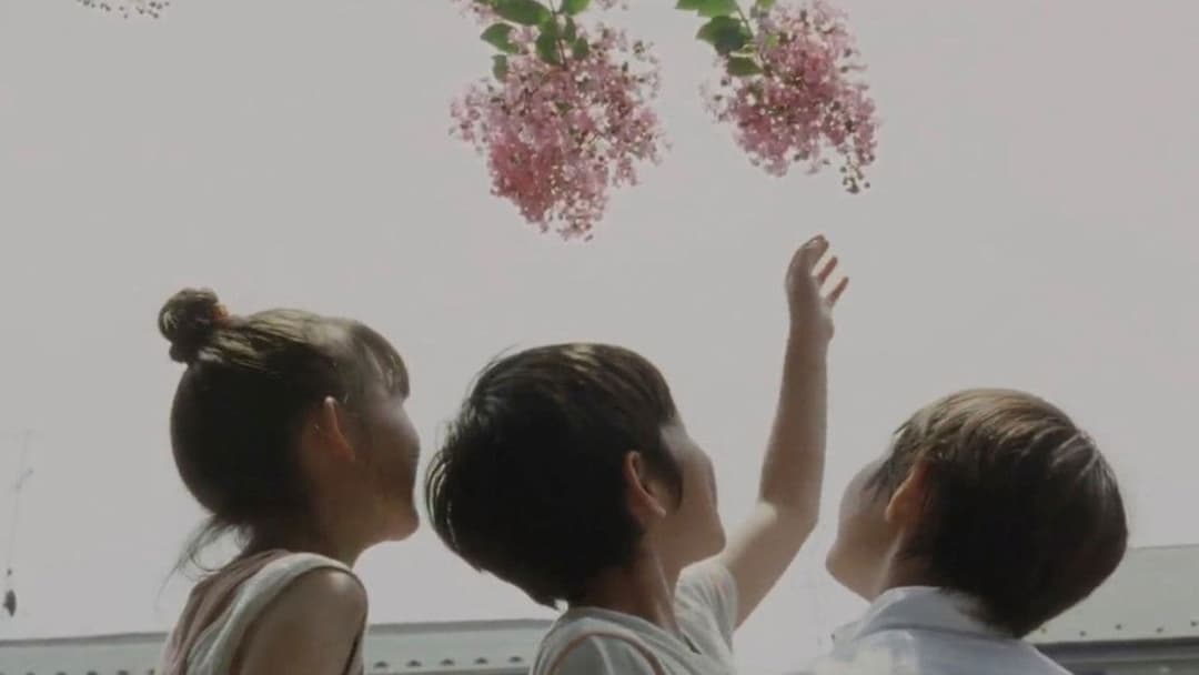 Still Walking backdrop 3