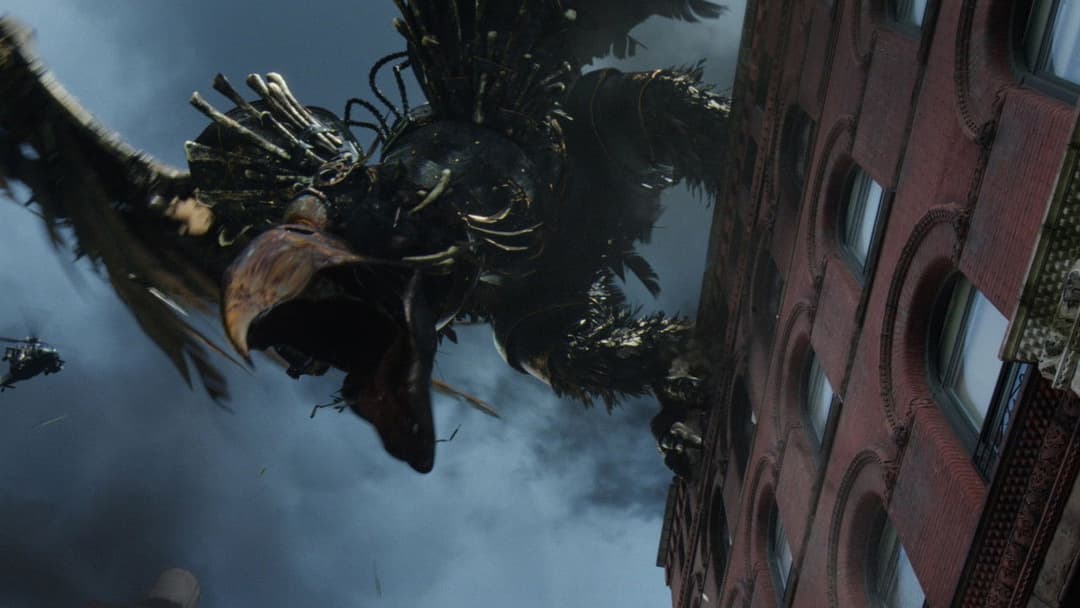 Бердмен backdrop 16