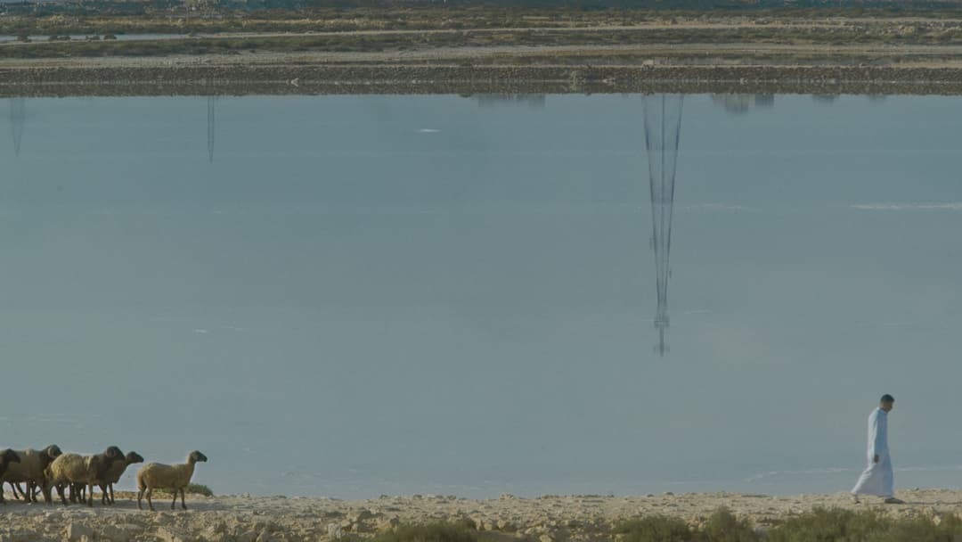 كولونيا backdrop 9