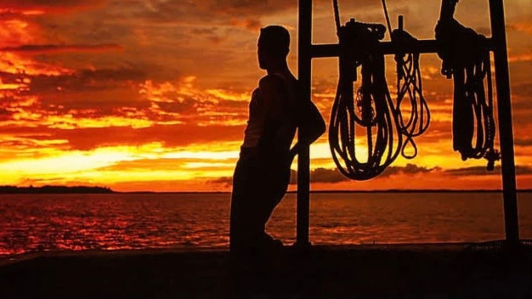 Forrest Gump backdrop 15