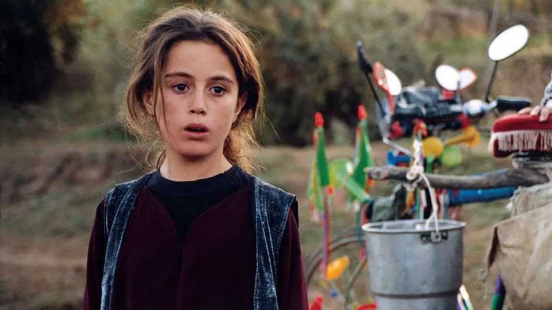 Turtles Can Fly backdrop 13