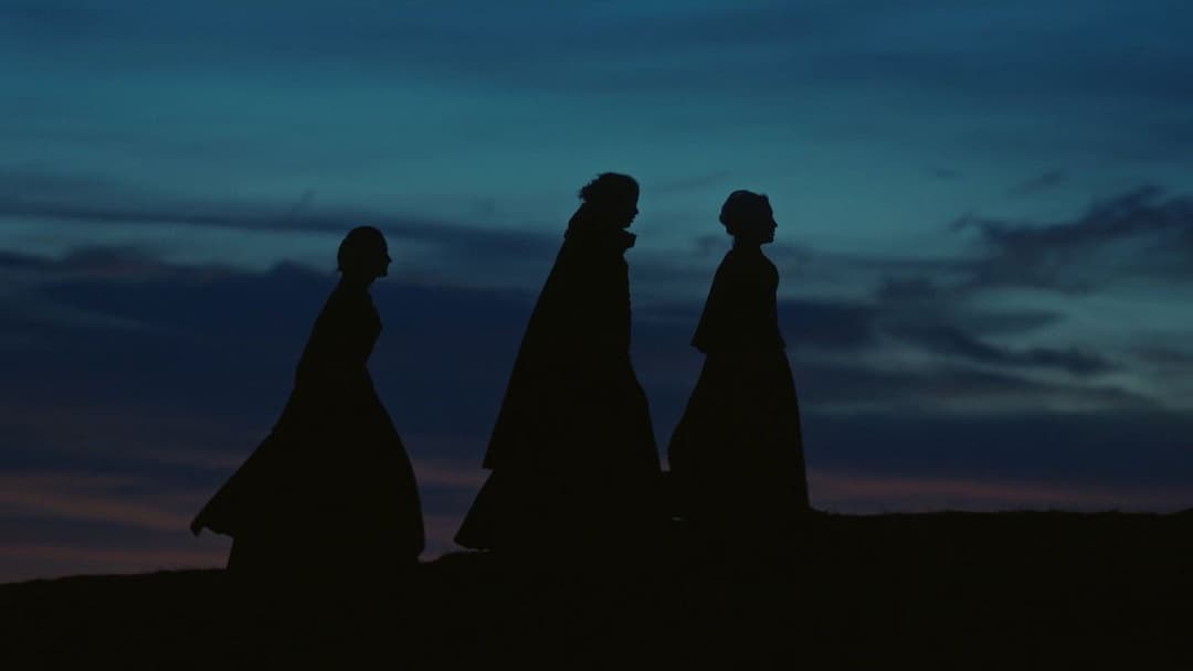 Портрет дівчини у вогні backdrop 8