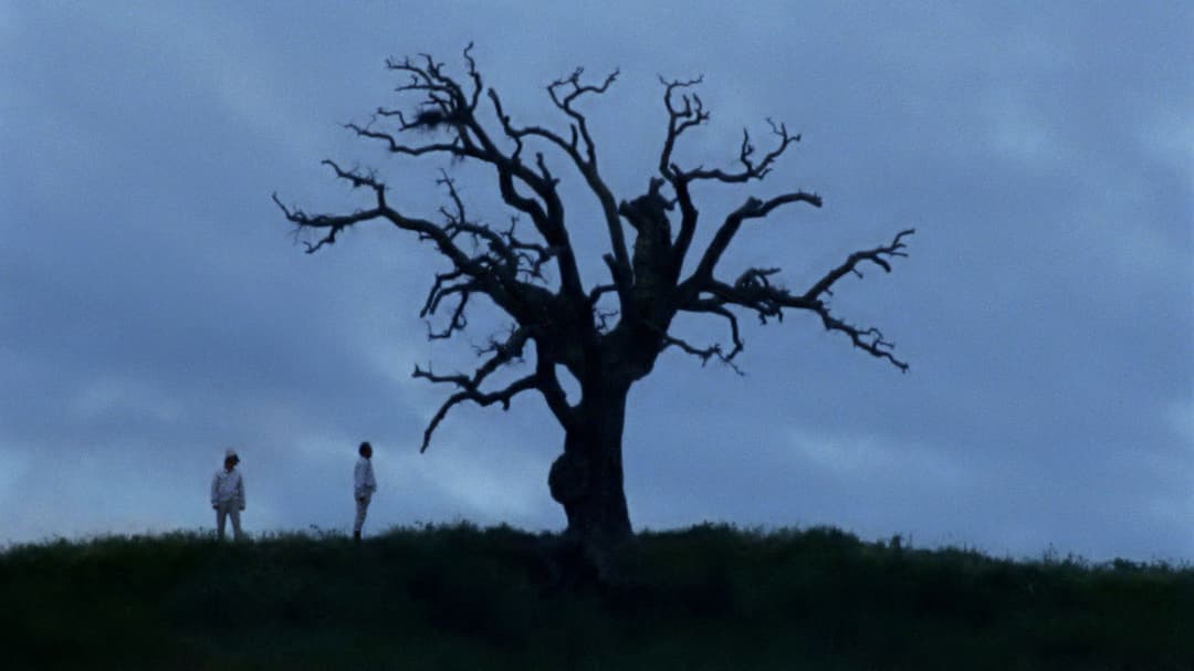 Lost and Beautiful backdrop 8