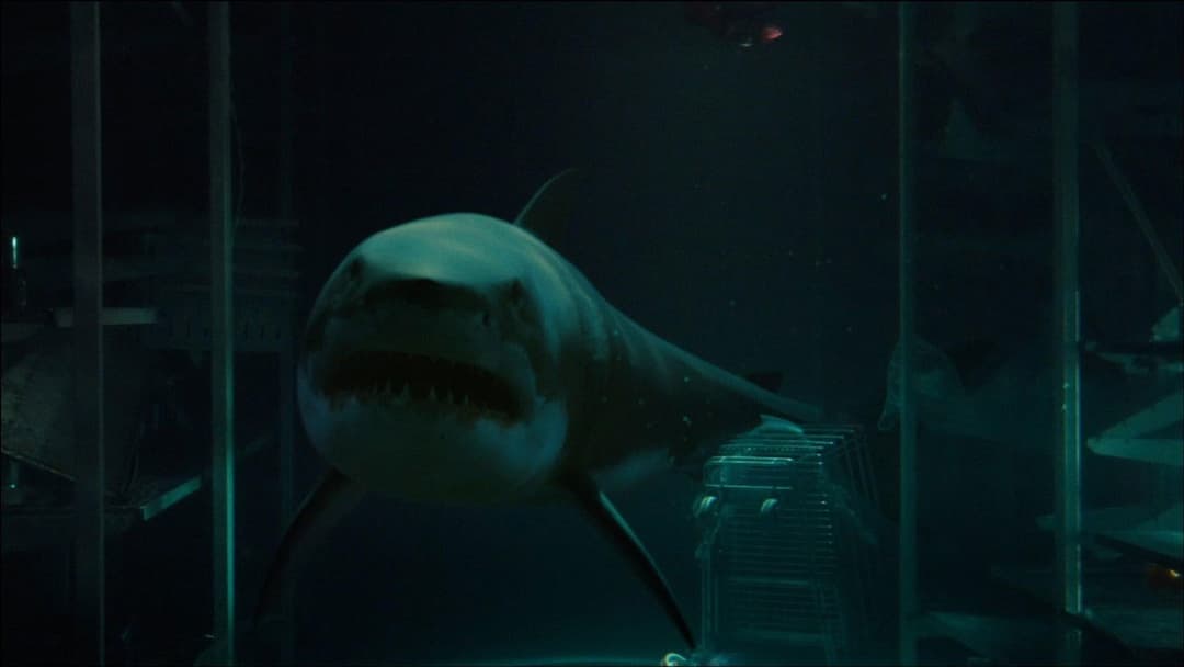 Bait - Haie im Supermarkt backdrop 4