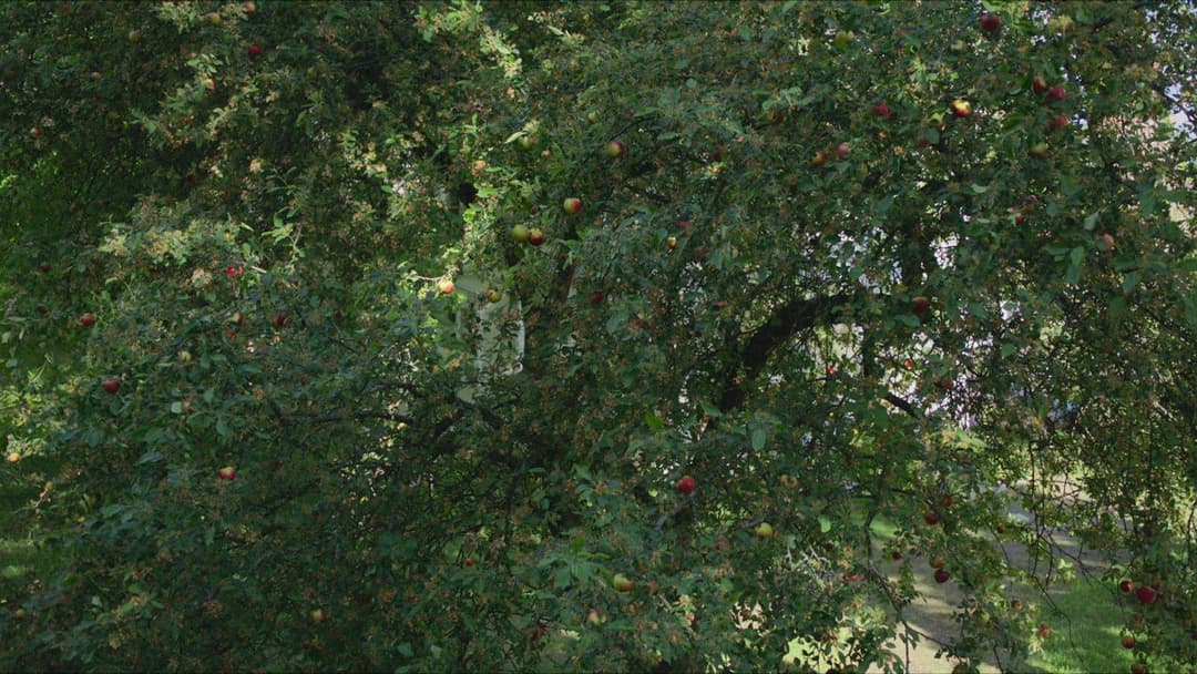 Фрагменти жінки backdrop 6