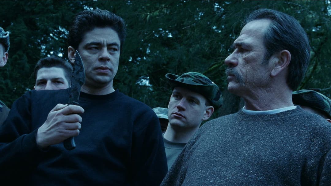 Загнаний backdrop 6