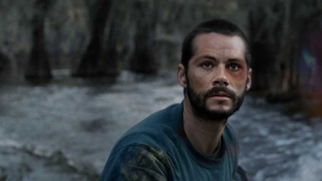 Caddo Lake backdrop 4