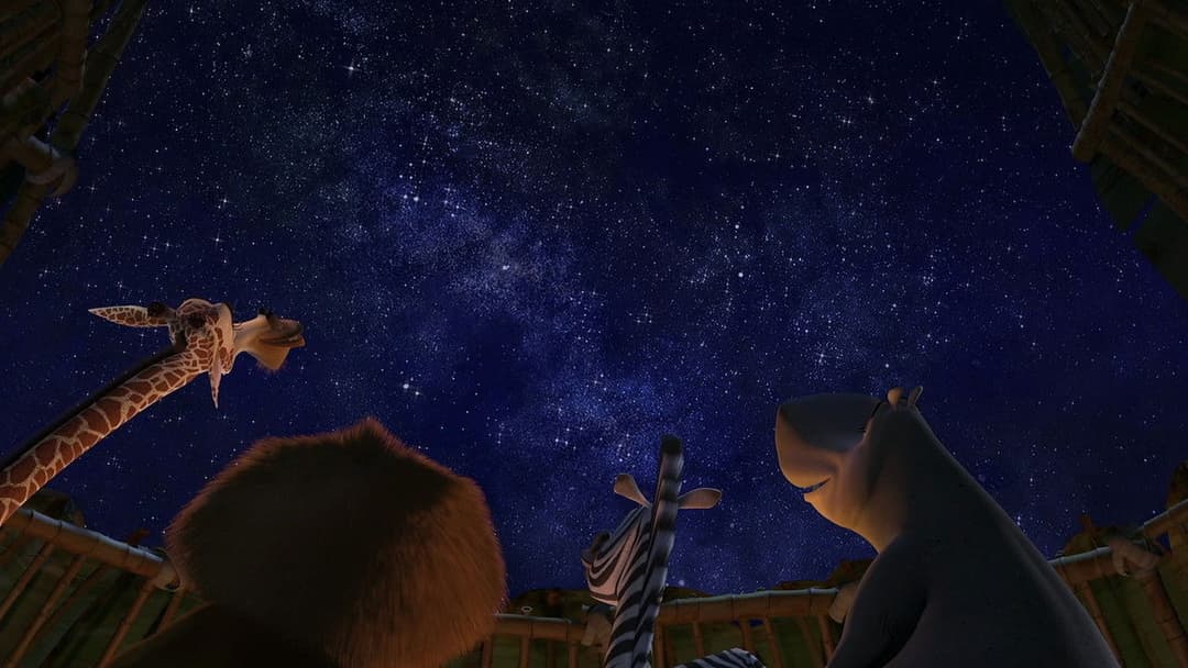 Madagascar backdrop 14